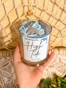 Dolphin candle